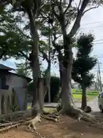 白山神社(千葉県)