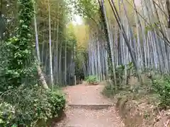 湊三嶋大明神社の自然