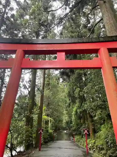 箱根神社の鳥居