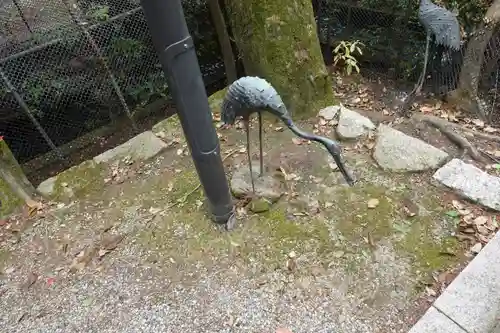 内神社の狛犬