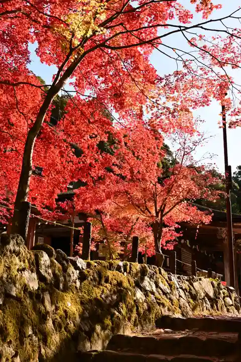 西明寺(滋賀県)