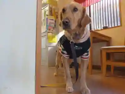 御誕生寺（猫寺）(福井県)