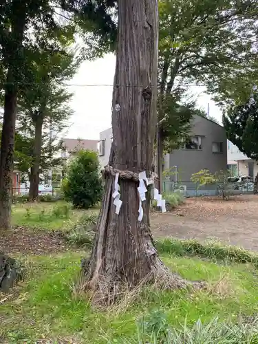 熊野神社の自然