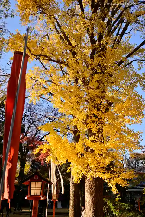 明王院(満願寺別院)の自然