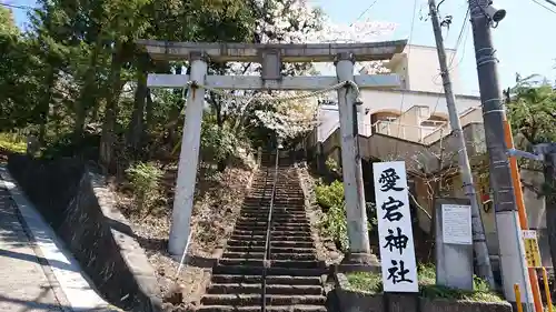 愛宕神社の鳥居