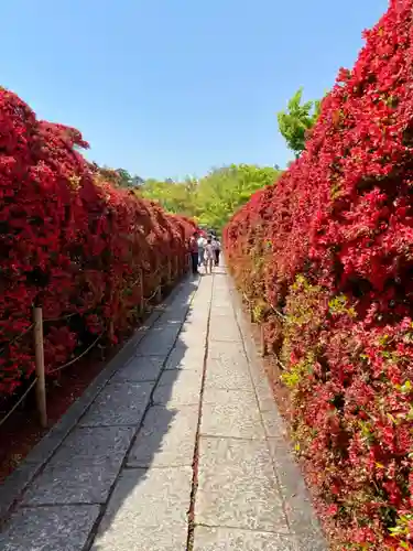 長岡天満宮の庭園