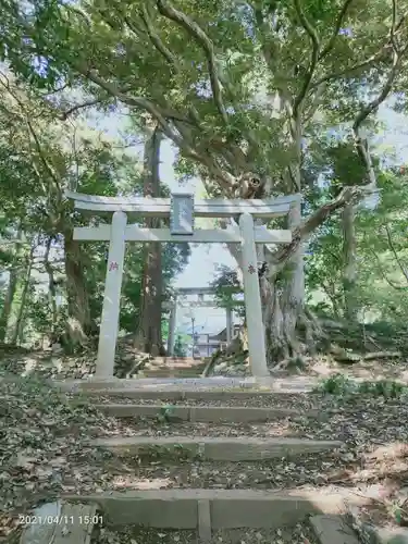 縣神社の鳥居