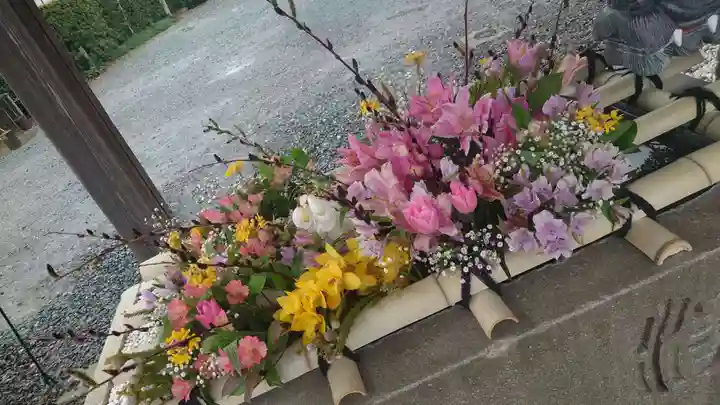 大歳神社(静岡県)