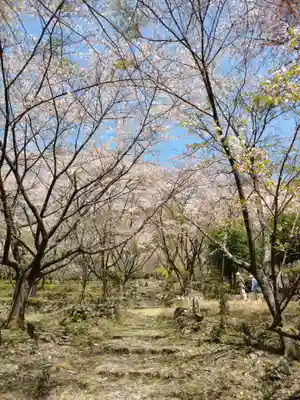 泰運寺(三重県)