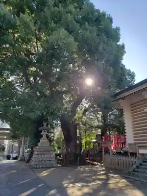 諏訪神社(東京都)