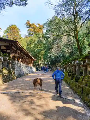 春日大社のその他建物
