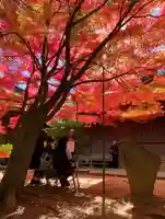 滑川神社 - 仕事と子どもの守り神(福島県)