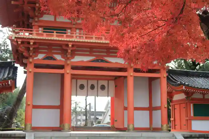 今宮神社(京都府)