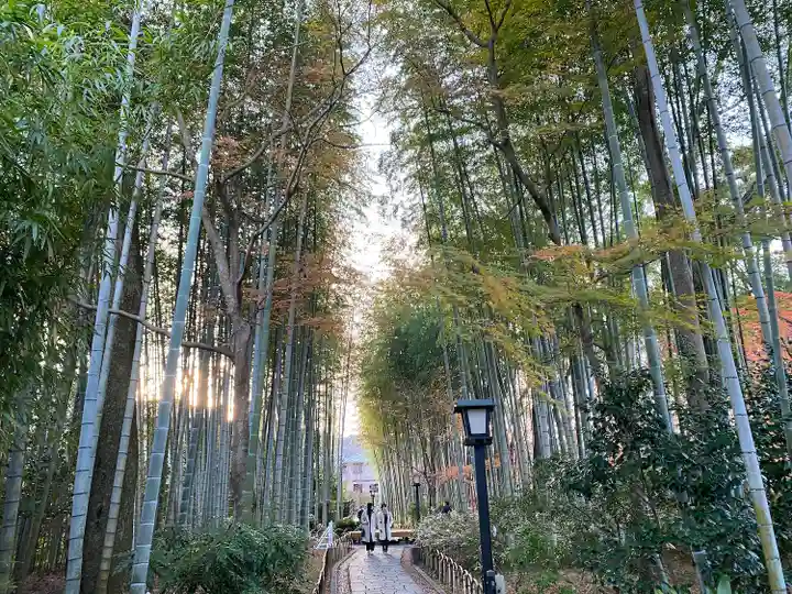 修禅寺(静岡県)