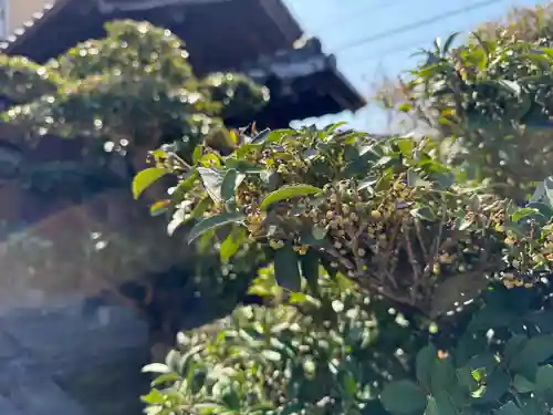 西方山極楽寺(岐阜県)