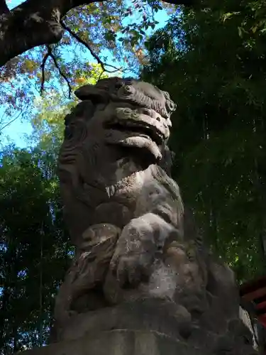 田無神社の狛犬