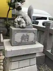 櫻株稲荷神社の狛犬