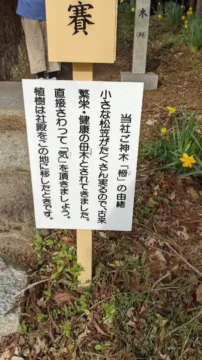 徳佐八幡宮のその他建物
