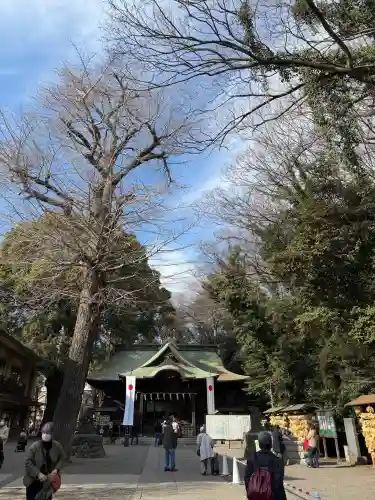 谷保天満宮の{uncategorized: "未分類", other: "その他", undefined: "問題あり", building: "その他建物", grave: "お墓", sacred_gate: "鳥居", guardian: "狛犬", statue: "像", buddha: "仏像", history: "歴史", nature: "自然", garden: "庭園", animal: "動物", pagoda: "塔", temizu: "手水舎", mountain_gate: "山門・神門", sanctuary: "本殿・本堂", subordinate: "末社・摂社", art: "芸術", scenery: "景色", jizo: "地蔵", ema: "絵馬", goshuin: "御朱印", omikuji: "おみくじ", items: "授与品その他", amulet: "お守り", goshuincho: "御朱印帳", eats: "食事", festival: "お祭り", votive_dance: "神楽", shichigosan: "七五三参", wedding: "結婚式", experience: "体験その他", initially: "初詣", around: "周辺", anti_infection: "感染症対策"}