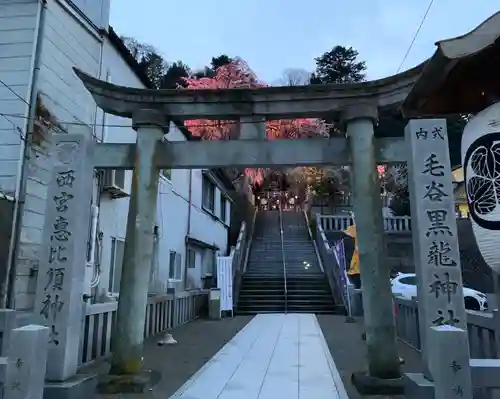 毛谷黒龍神社の鳥居