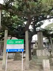 十輪寺の自然