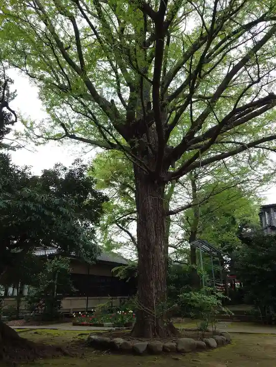長崎神社の自然