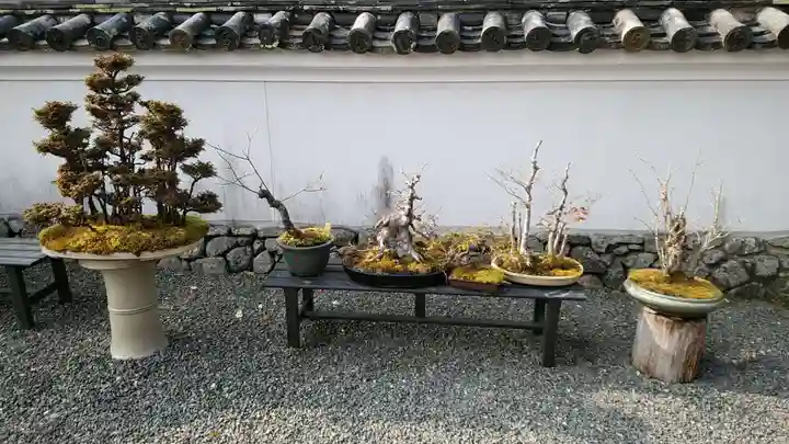 穴太寺(京都府)