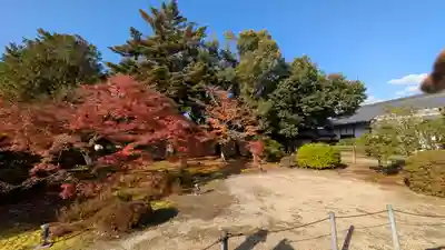 隨心院(随心院)(京都府)