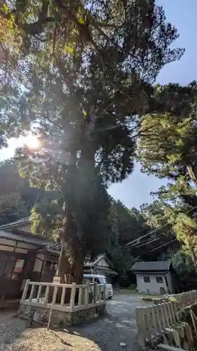 愛宕神社（阿多古神社）(京都府)