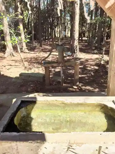 椿ノ海　水神社の手水舎