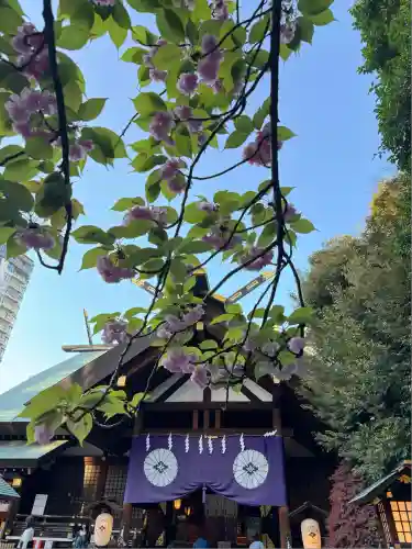 東京大神宮(東京都)