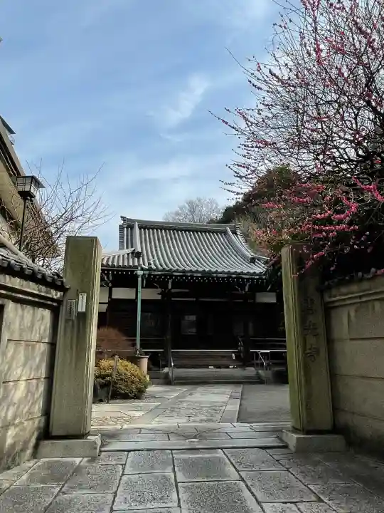 専光寺の{uncategorized: "未分類", other: "その他", undefined: "問題あり", building: "その他建物", grave: "お墓", sacred_gate: "鳥居", guardian: "狛犬", statue: "像", buddha: "仏像", history: "歴史", nature: "自然", garden: "庭園", animal: "動物", pagoda: "塔", temizu: "手水舎", mountain_gate: "山門・神門", sanctuary: "本殿・本堂", subordinate: "末社・摂社", art: "芸術", scenery: "景色", jizo: "地蔵", ema: "絵馬", goshuin: "御朱印", omikuji: "おみくじ", items: "授与品その他", amulet: "お守り", goshuincho: "御朱印帳", eats: "食事", festival: "お祭り", votive_dance: "神楽", shichigosan: "七五三参", wedding: "結婚式", experience: "体験その他", initially: "初詣", around: "周辺", anti_infection: "感染症対策"}