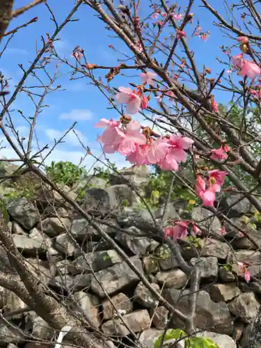 今帰仁里主所火の神の自然