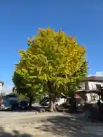 大師稲荷神社(神奈川県)