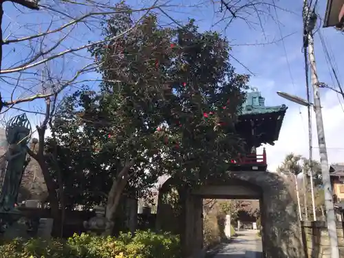 正受院(東京都)