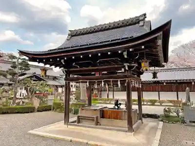 沙沙貴神社の手水舎