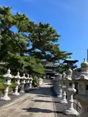 誕生寺の建物その他