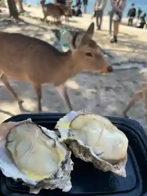 厳島神社(広島県)