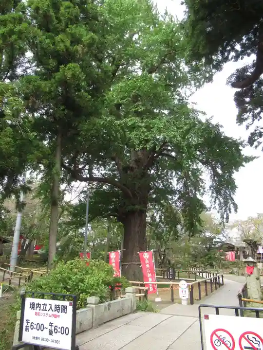 六地蔵寺(茨城県)