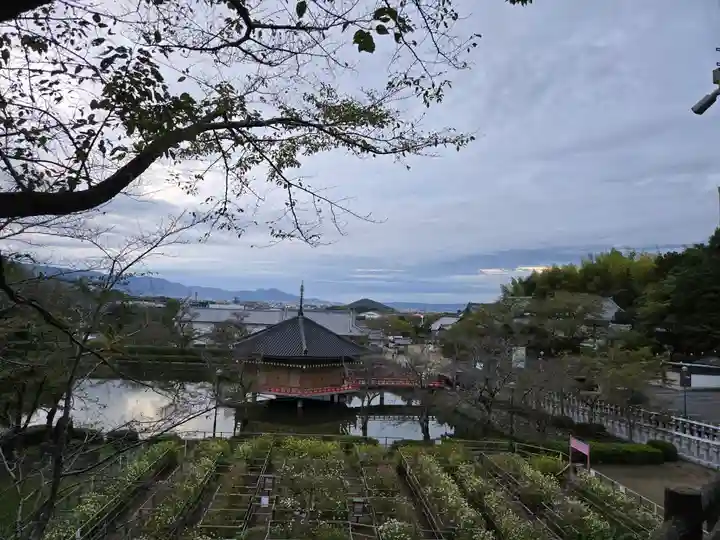 安倍文殊院 (奈良県)