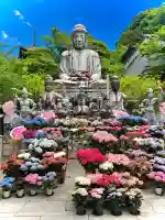 南法華寺(壷阪寺)(奈良県)