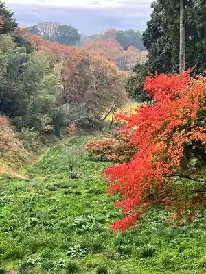 西蓮寺(茨城県)