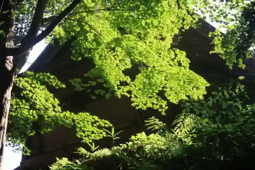 三春大神宮の自然