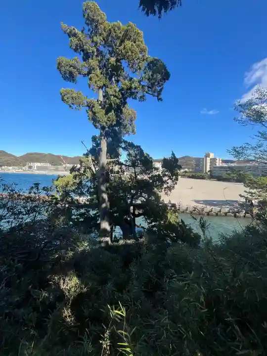 森戸大明神(森戸神社)の{uncategorized: "未分類", other: "その他", undefined: "問題あり", building: "その他建物", grave: "お墓", sacred_gate: "鳥居", guardian: "狛犬", statue: "像", buddha: "仏像", history: "歴史", nature: "自然", garden: "庭園", animal: "動物", pagoda: "塔", temizu: "手水舎", mountain_gate: "山門・神門", sanctuary: "本殿・本堂", subordinate: "末社・摂社", art: "芸術", scenery: "景色", jizo: "地蔵", ema: "絵馬", goshuin: "御朱印", omikuji: "おみくじ", items: "授与品その他", amulet: "お守り", goshuincho: "御朱印帳", eats: "食事", festival: "お祭り", votive_dance: "神楽", shichigosan: "七五三参", wedding: "結婚式", experience: "体験その他", initially: "初詣", around: "周辺", anti_infection: "感染症対策"}