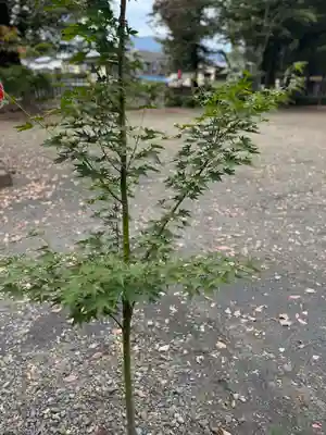 武水別神社(長野県)