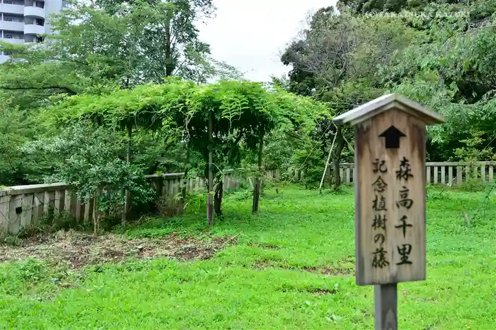 八雲神社 (通五丁目)の庭園
