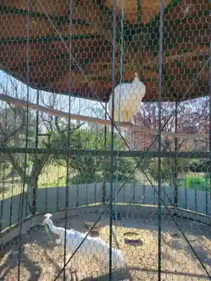 進雄神社(群馬県)
