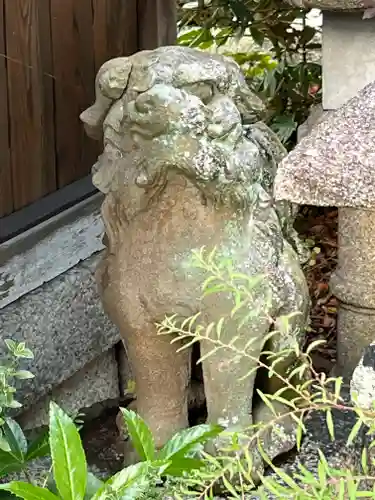 住吉神社の狛犬