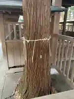 熊野神社(茨城県)