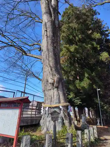 智賀都神社(栃木県)